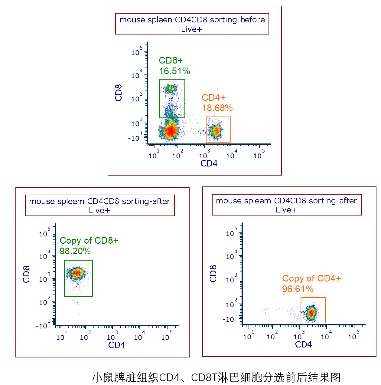 服务项目-特性细胞群体分选-配图.png